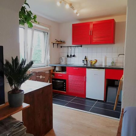 Kleines Studio Am Uni-Campus - Perfekt Fuer Junge Unternehmungslustige Dresden Exteriör bild