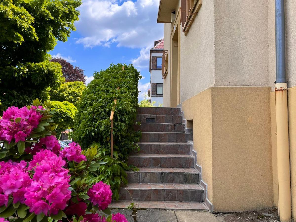 Kleines Studio Am Uni-Campus - Perfekt Fuer Junge Unternehmungslustige Dresden Exteriör bild